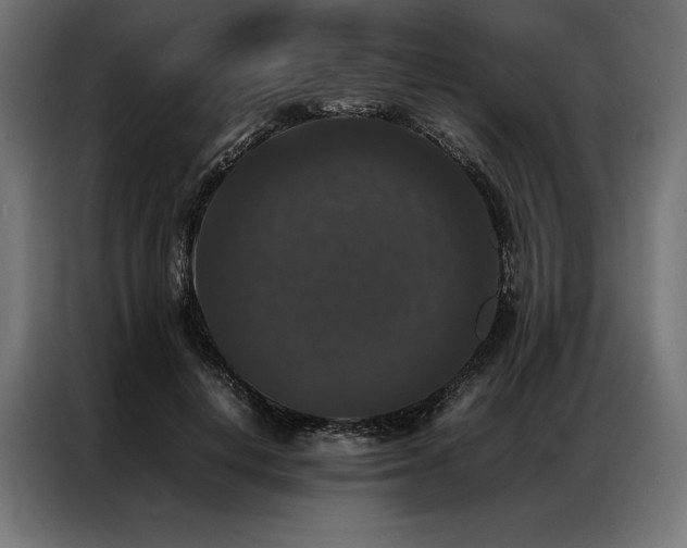 X0000087020648200704161602