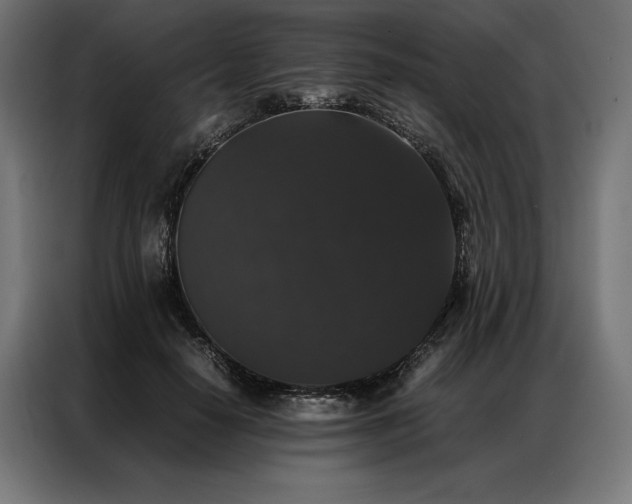 X0000087020650200704161602