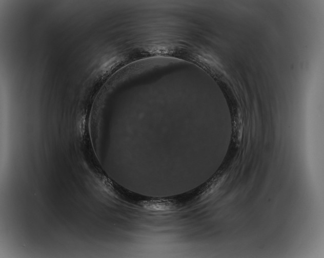 X0000087020652200704161602