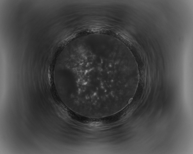 X0000087020653200704161602