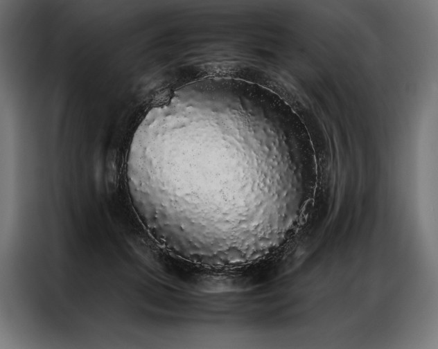 X0000087020655200704161602