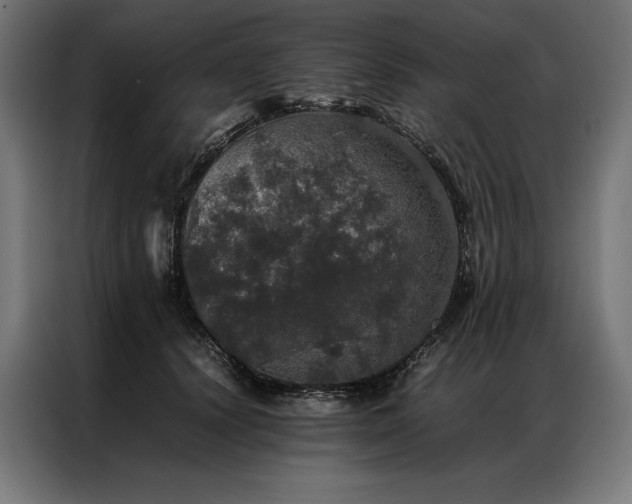 X0000087020656200704161602