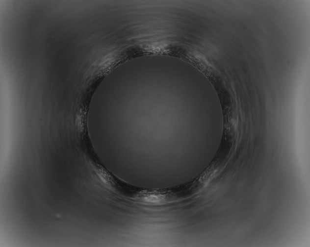 X0000087020658200704161602