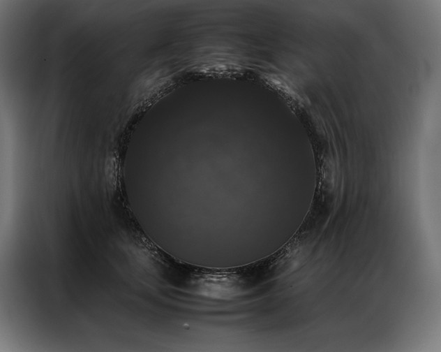 X0000087020659200704161602