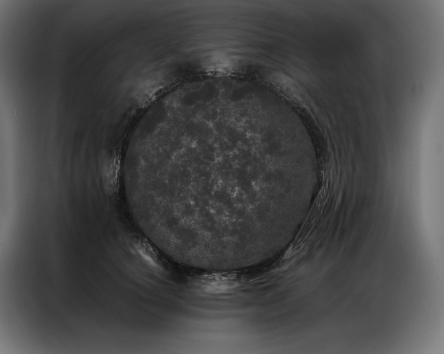 X0000087020660200704161602