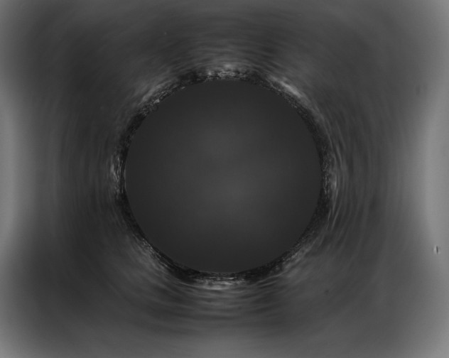 X0000087020661200704161602