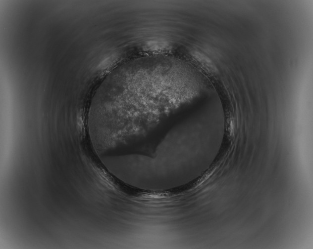 X0000087020662200704161602