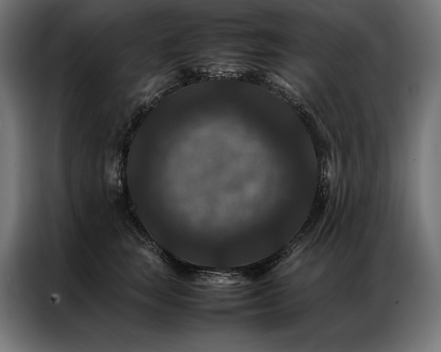 X0000087020663200704161602