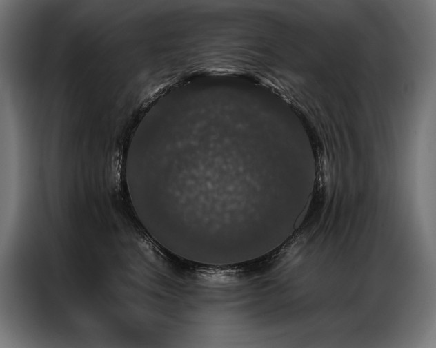 X0000087020664200704161602
