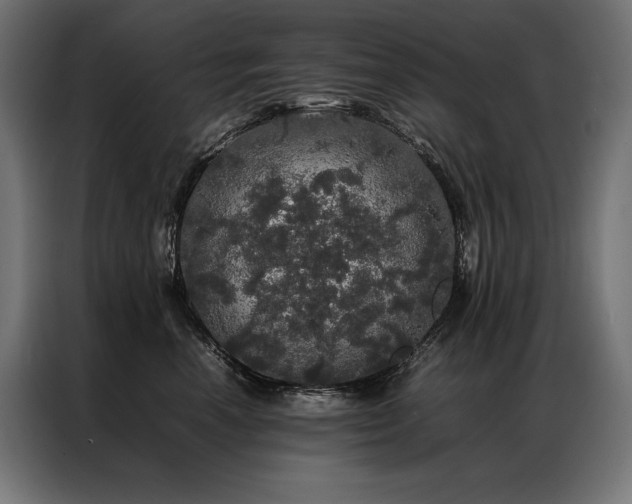 X0000087020666200704161602