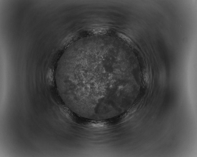 X0000087020667200704161602
