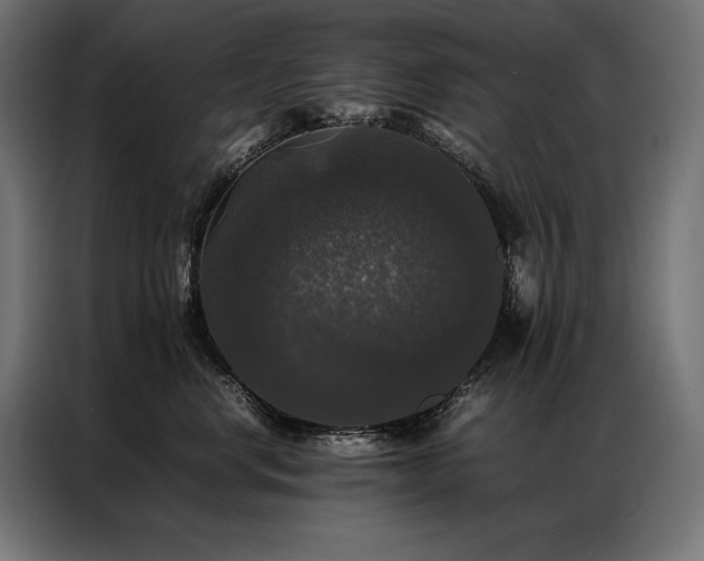 X0000087020668200704161602