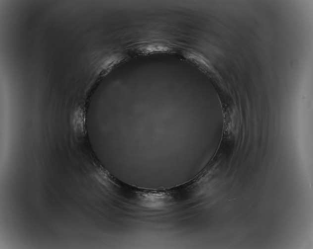 X0000087020669200704161602