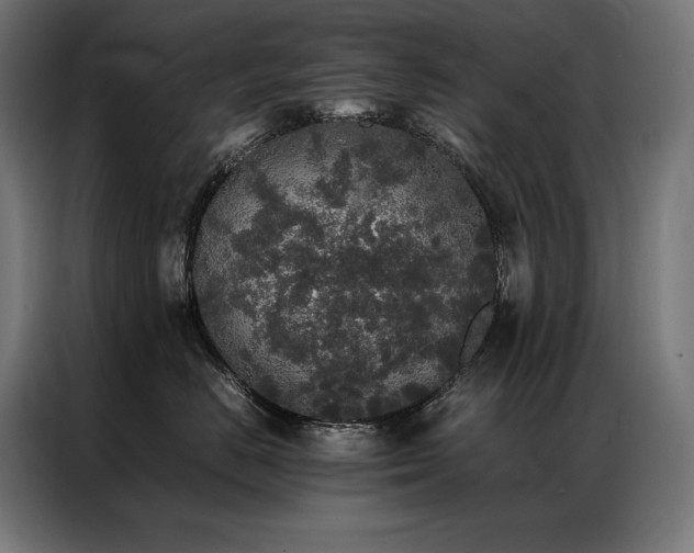 X0000087020670200704161602