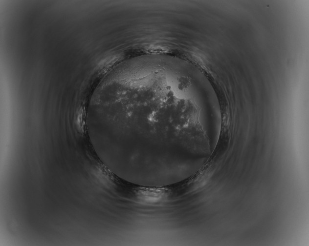 X0000087020671200704161602