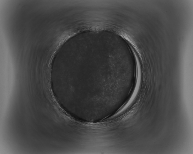X0000087020673200704161601