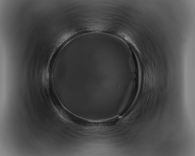 X0000087020674200704161601