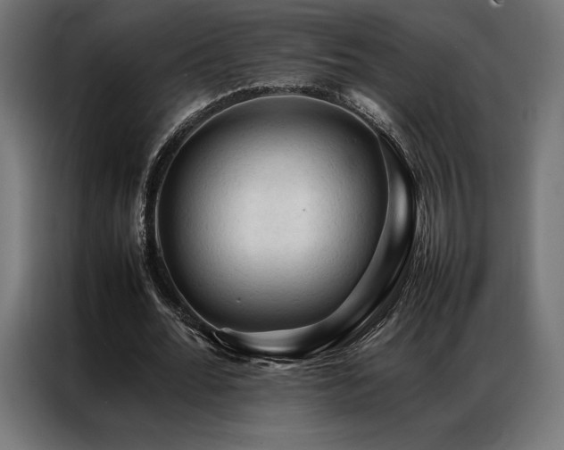 X0000087020676200704161601