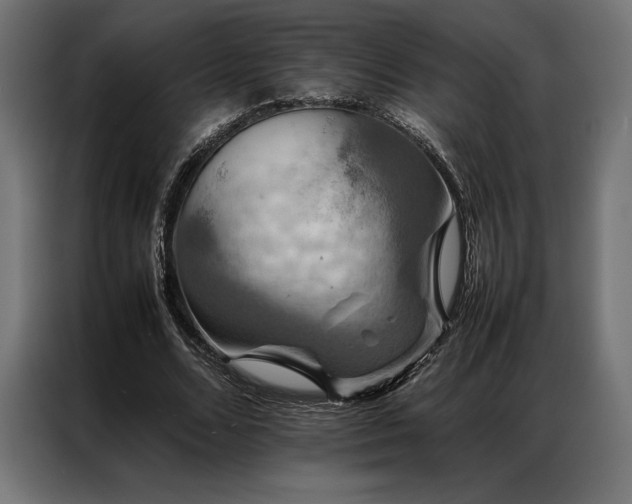 X0000087020680200704161601