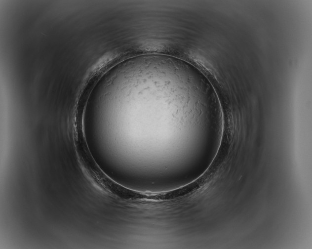 X0000087020682200704161601