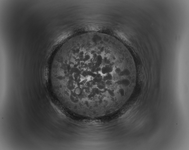 X0000087020683200704161601