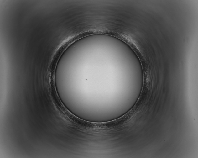 X0000087020684200704161601