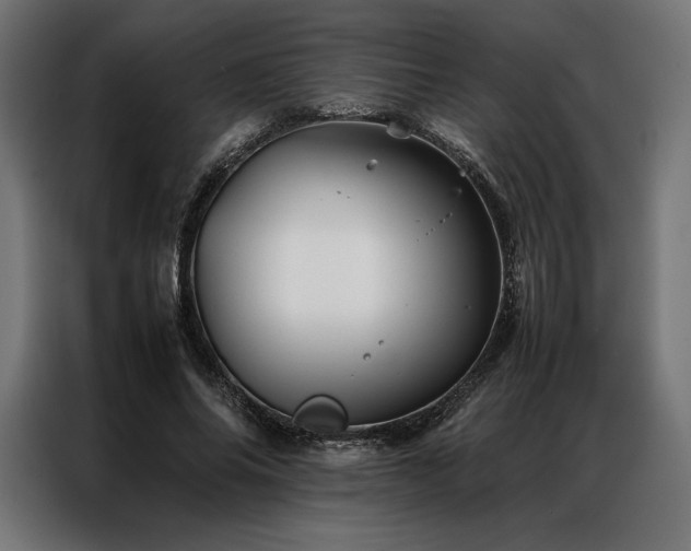 X0000087020686200704161601