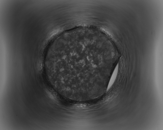 X0000087020687200704161601