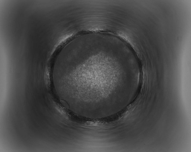 X0000087020688200704161601