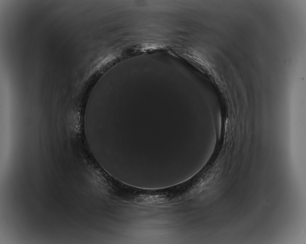 X0000087020689200704161601
