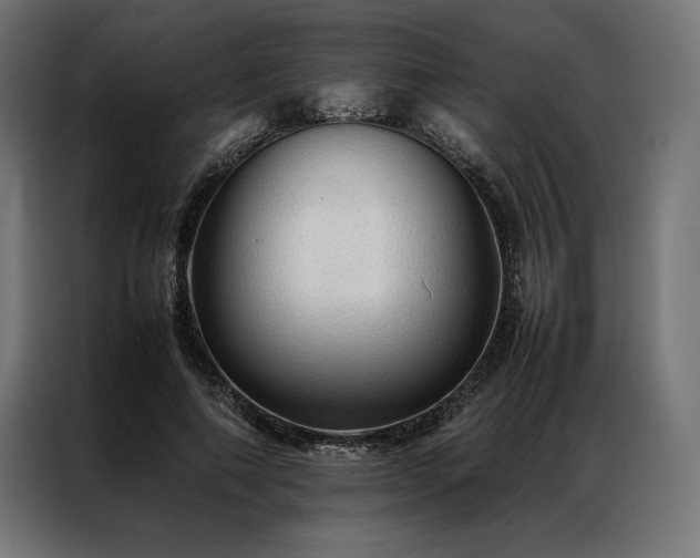 X0000087020690200704161601
