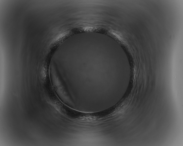 X0000087020691200704161601
