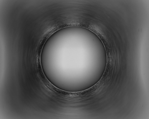 X0000087020692200704161601