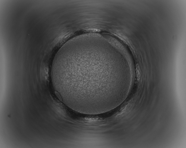 X0000087020693200704161601