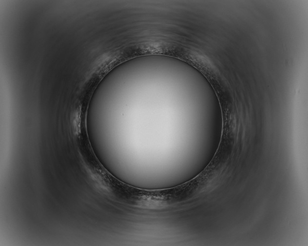 X0000087020694200704161601