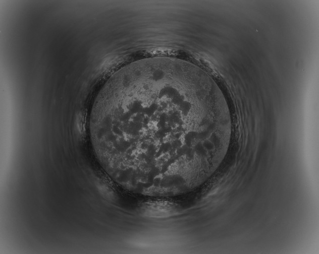 X0000087020695200704161601