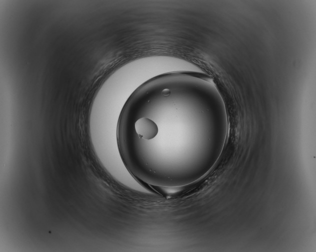 X0000087020696200704161601