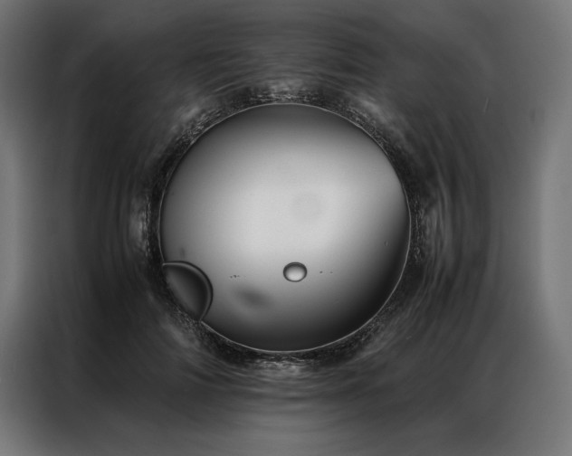 X0000087020698200704161601