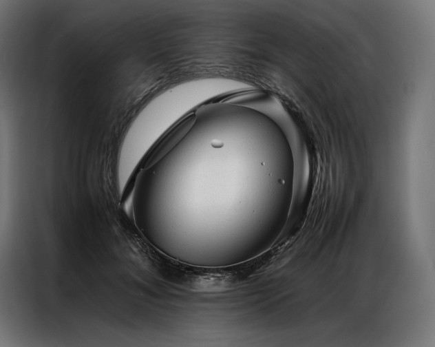 X0000087020700200704161601