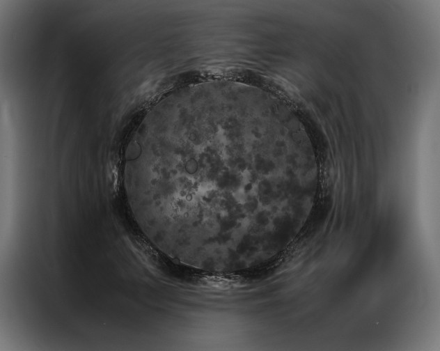 X0000087020703200704161601