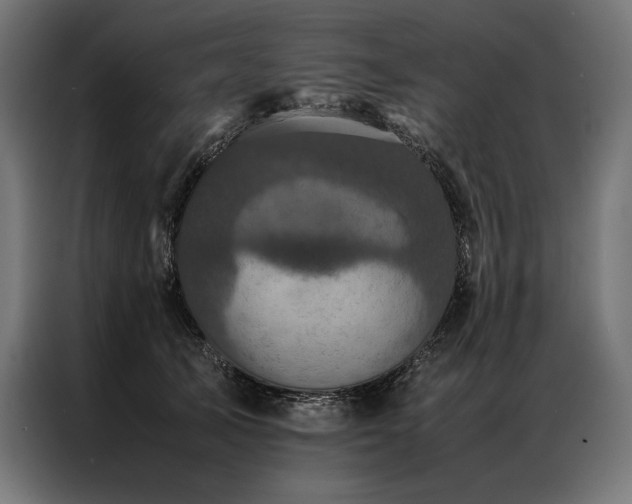 X0000087020705200704161601