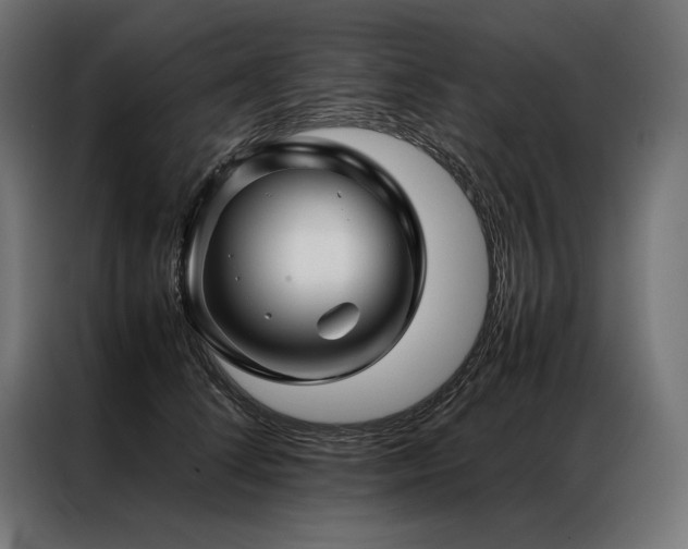 X0000087020708200704161601