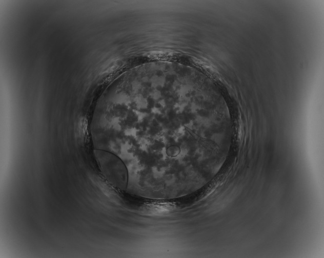 X0000087020711200704161601