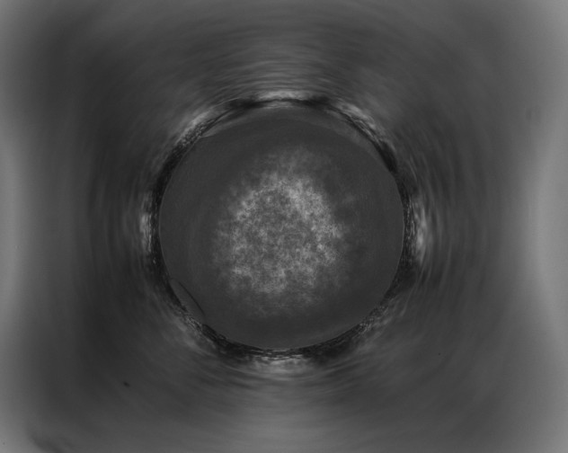 X0000087020716200704161601
