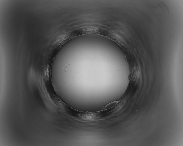 X0000087020717200704161601