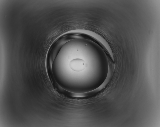 X0000087020720200704161601