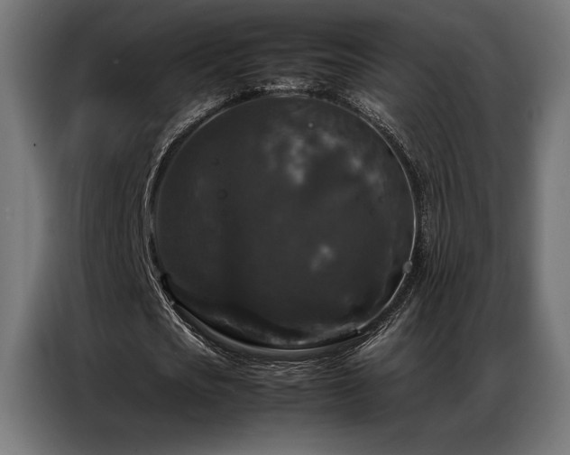 X0000087020721200704161600