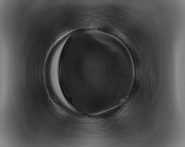 X0000087020722200704161600