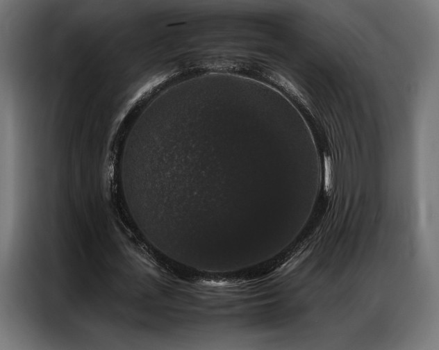 X0000087020723200704161600