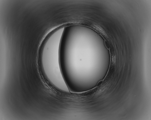 X0000087020724200704161600